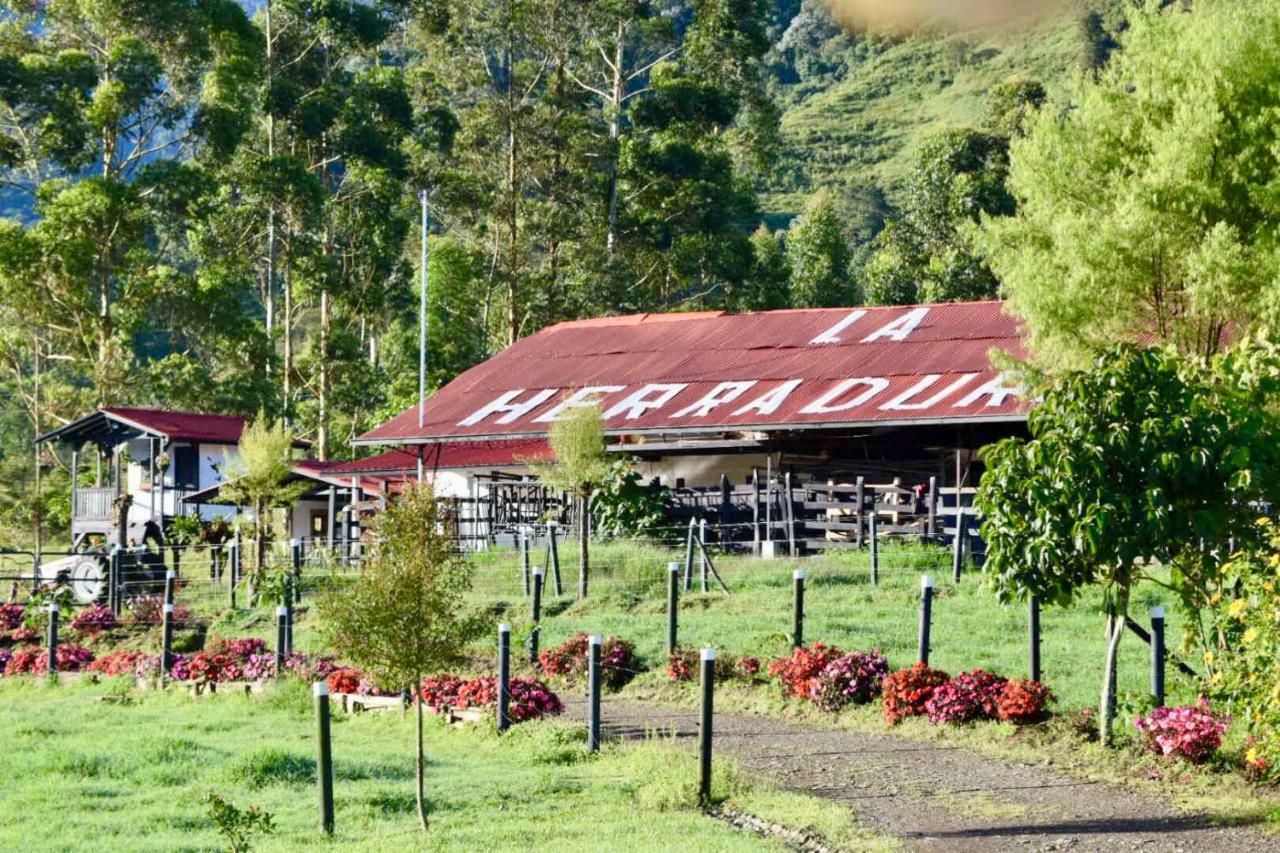 La Herradura Lodge 圣罗莎德卡瓦尔 外观 照片